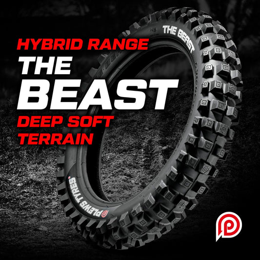THE BEAST - Trail
